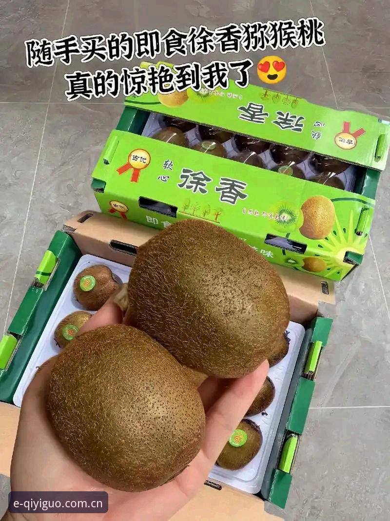 奇异果体育平台CN注册入口避坑实用指南：从注册到V4数据中心的完整路径